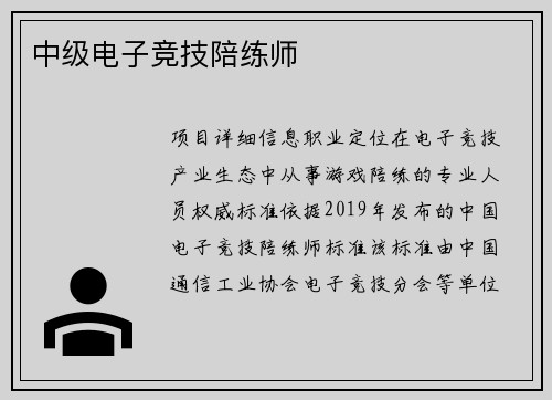 中级电子竞技陪练师